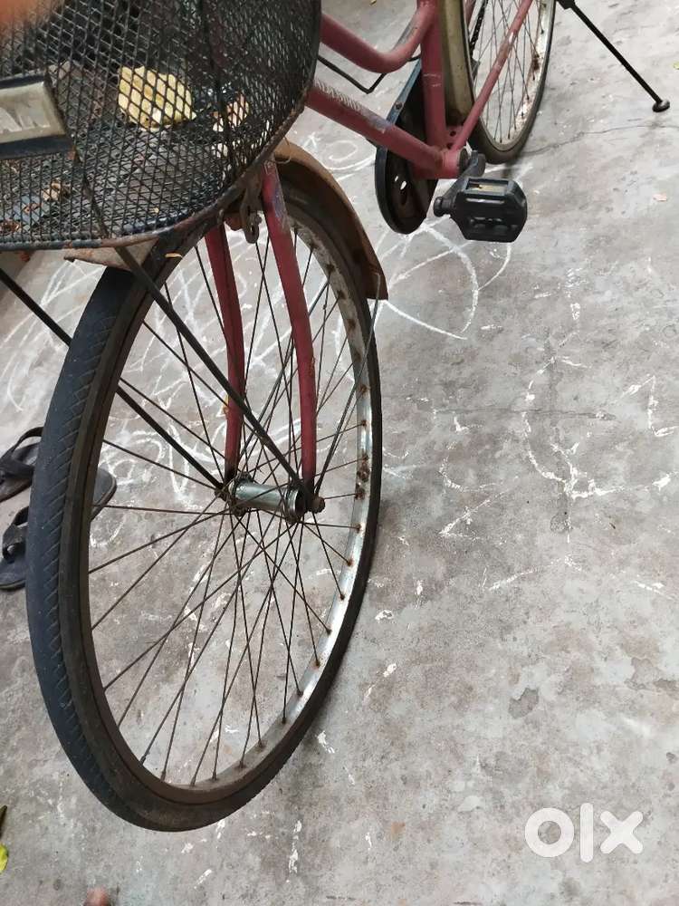 Lady Bird girls bicycle