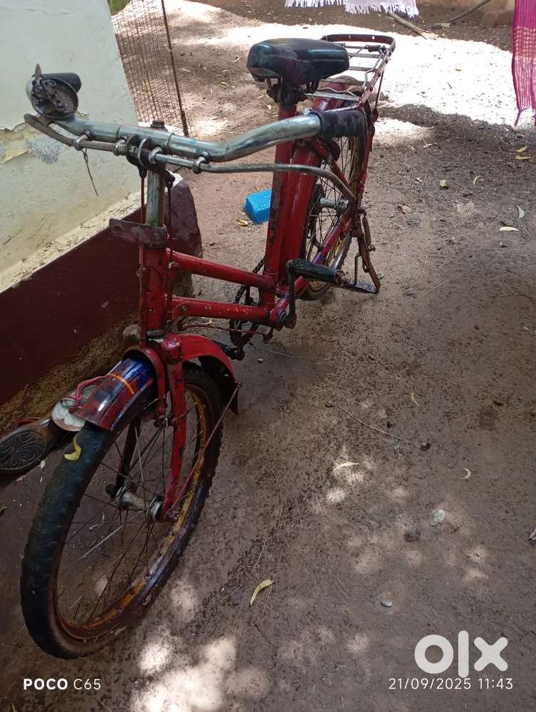 Small boy girl cycle