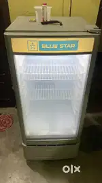 Blue Star fridge