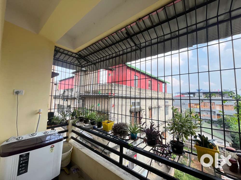 Need a female flatmate