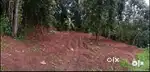 Near chozhiyakkad, 8 cent house plot. 200000/cent.urgent sale