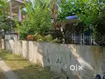 3.5kata vita mati