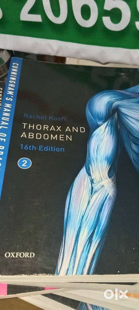 Antomy head and neck