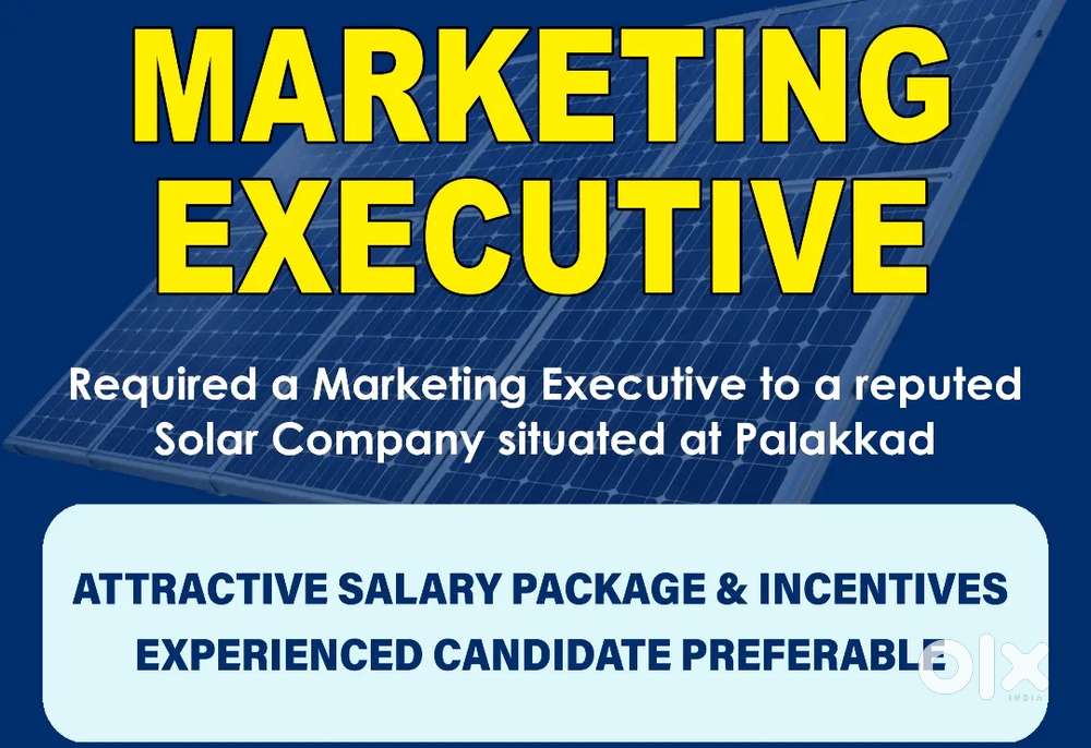 MARKETING EXECUTIVE