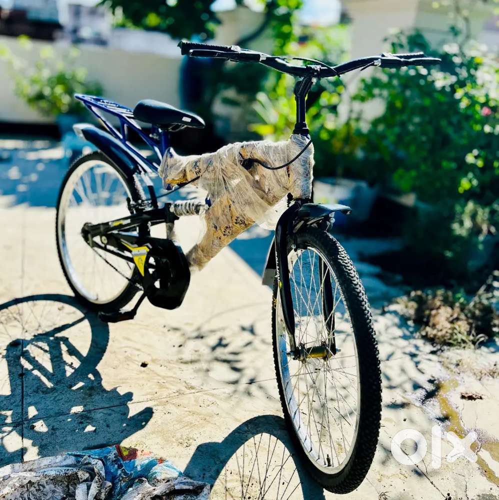 Balman cycle