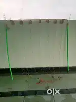Decoration Lights