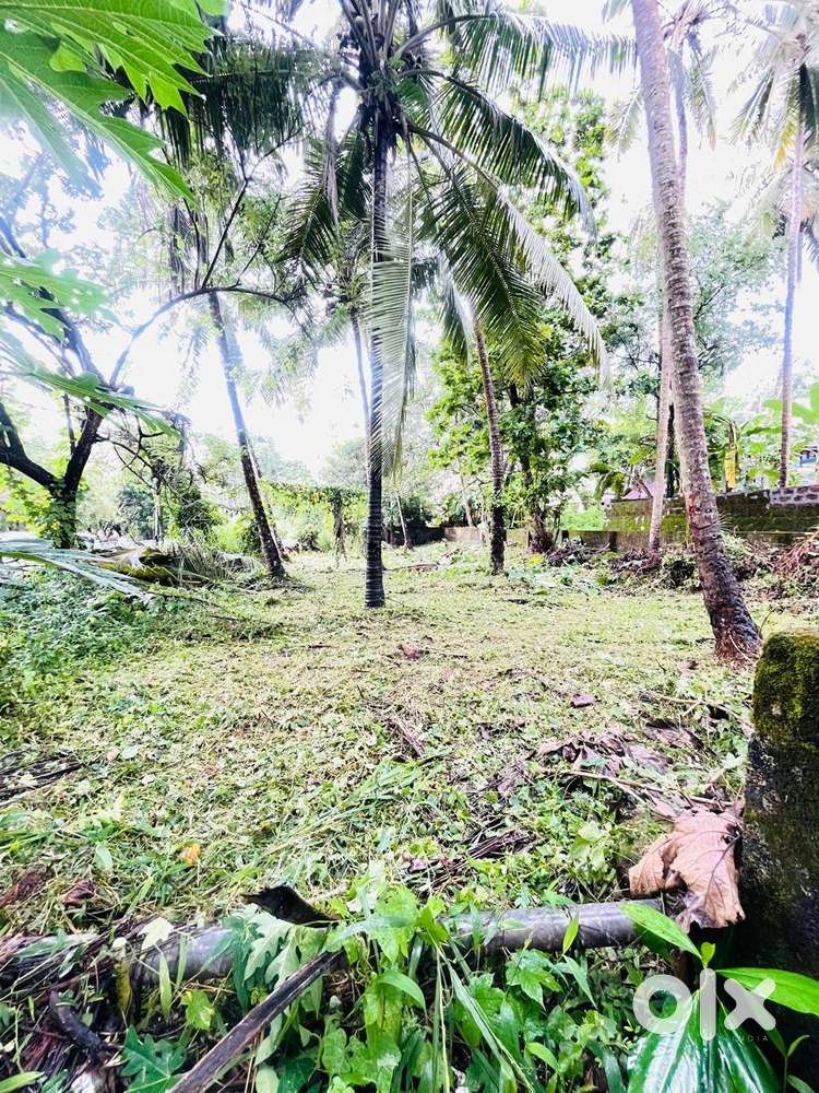 Plot for Sale near Deshaposhini Hall Govindhapuram