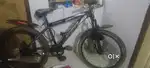 Double disk brake