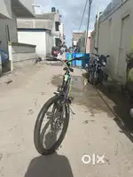 Best cycle
