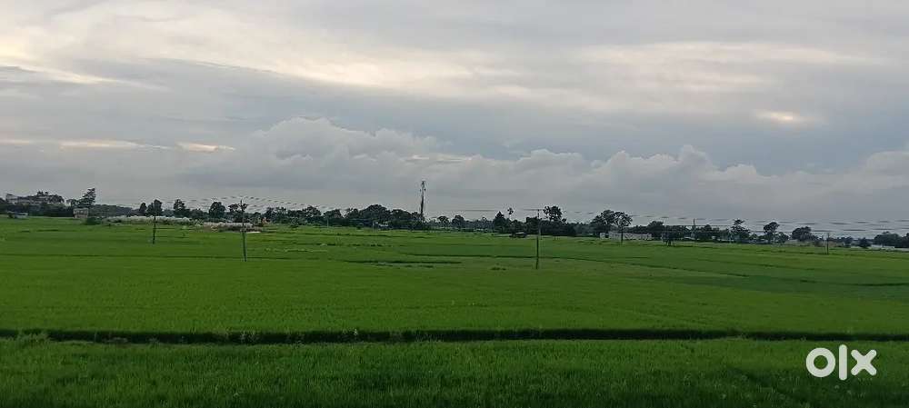 রাস্তার কাছে 2.3 কাঠা জায়গা total 142500 টাকায়