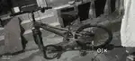 1 month old cycle