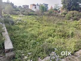 Plot for sale near PESPI FACTORY (Jhanjheli adda)