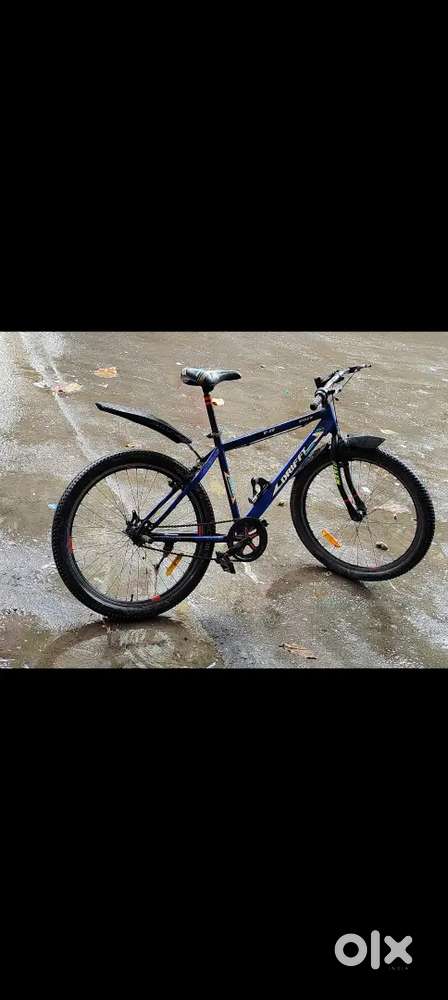 Vixen Bicycle