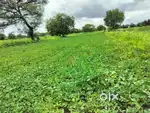 चिखली भाग 2 मधील 1 एकर बागायती शेती विकणे आहे