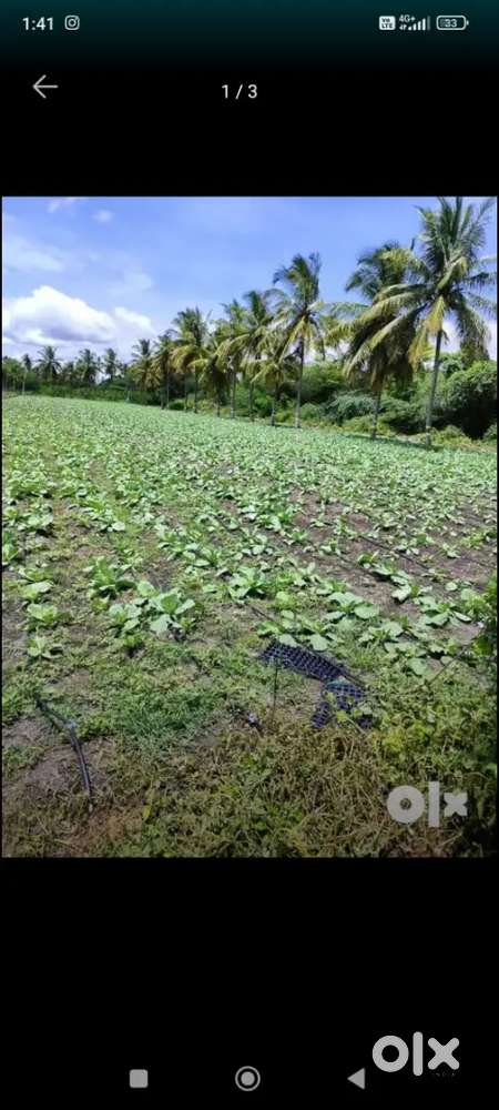 Agriculture land for sale