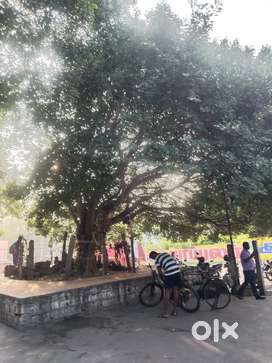 Arakonam approved plots for sale