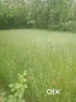 1 kanal land for sale in khonmoh (chaeri bagh) in cheap rate