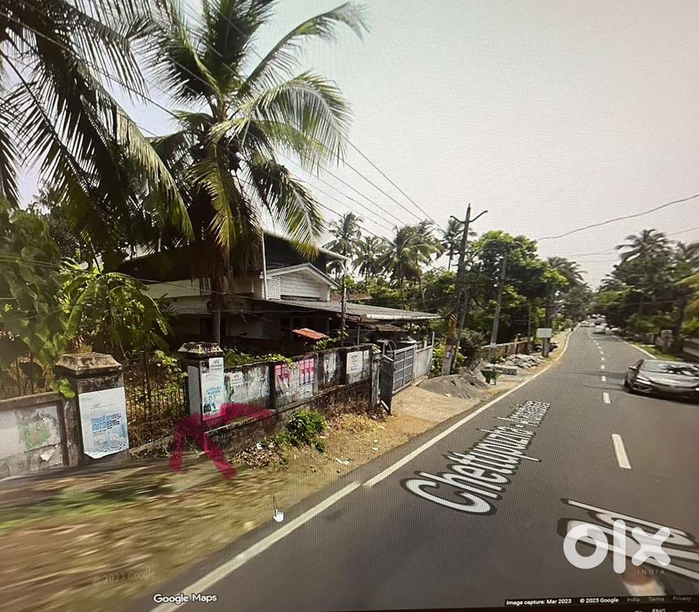 Plot along Chettupuzha - Aranattukara Road, near Kattukulam, Thrissur