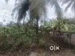 Thrissur nellikunnu main road 9.900 cent plot for sale