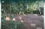 Land for sale Mayyanad
