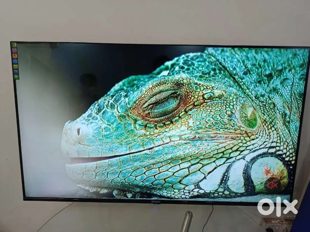 Golden joy wash Laundry job,machine operation accomodation avilable