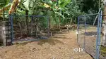 പുതുപ്പള്ളി കവലയക്ക് സമീപം 22 cent സ്ഥലം വില്പനക്ക്