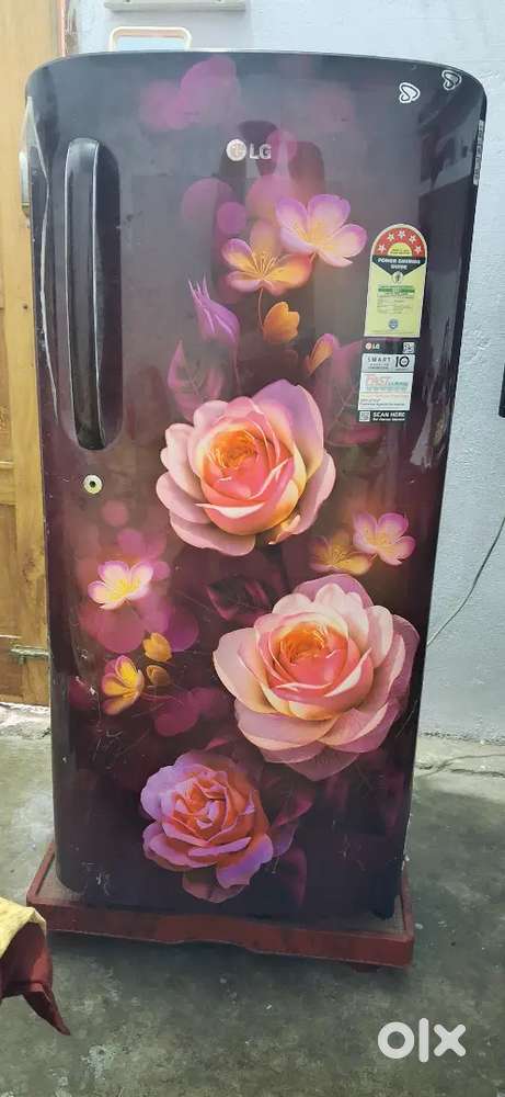 Lg 5 star fridge 185