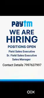 Paytm Sales Job