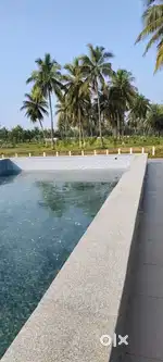 PANCHAYATI APPROVED PLOTS FOR SALE AT BHOGAPURAM (GOVINDAPURAM)