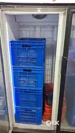 Western double door freezer