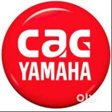 Account  Executive  & Cashier