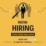 Field sell executive