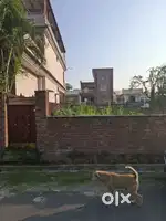 Two side open 40 by 90 akriti vihar lane 12 396 square yards