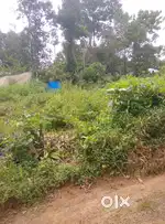 House Plot
