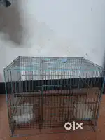 Bird cage  selling