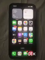 13 pro max