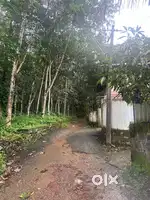 50 Cent Resudential Plot Near Enathu