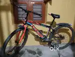 This is leader cycle 1 year old
