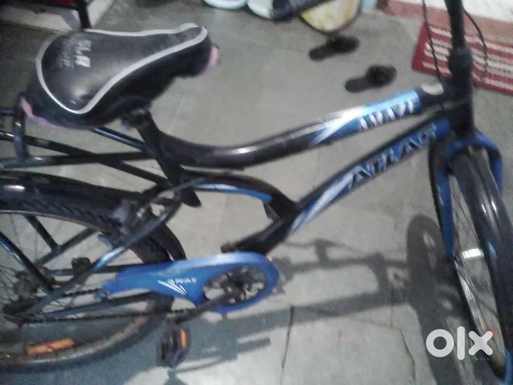 1 year old cycle