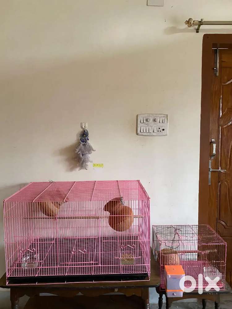 Cage for birds
