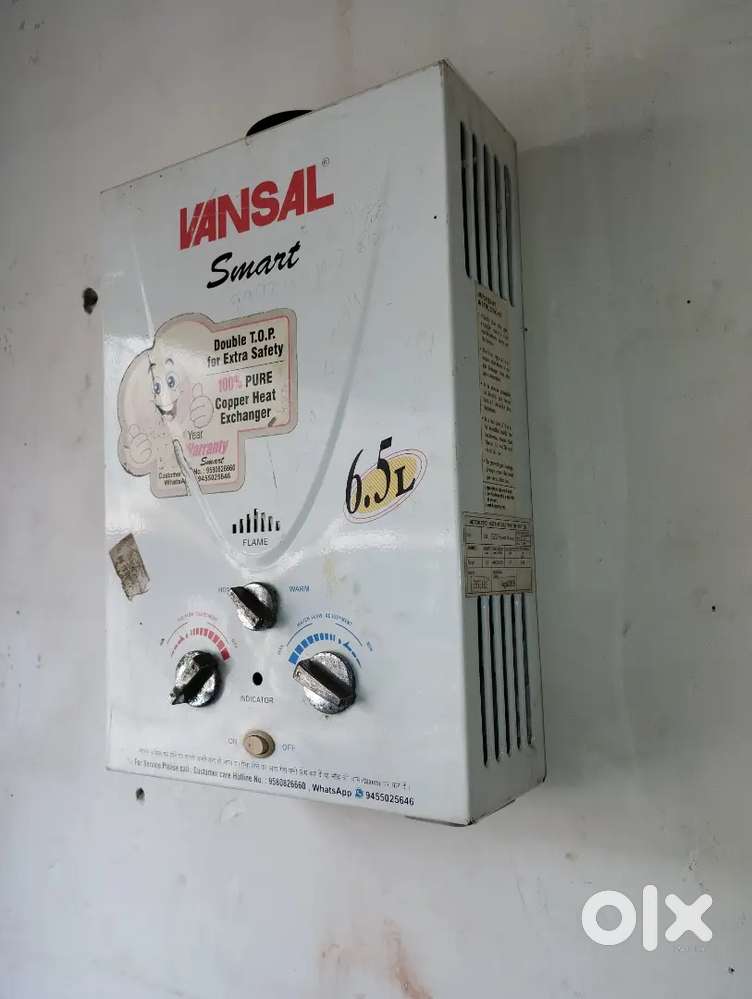 Microwave oven and gas geyser