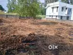 Plot for rent