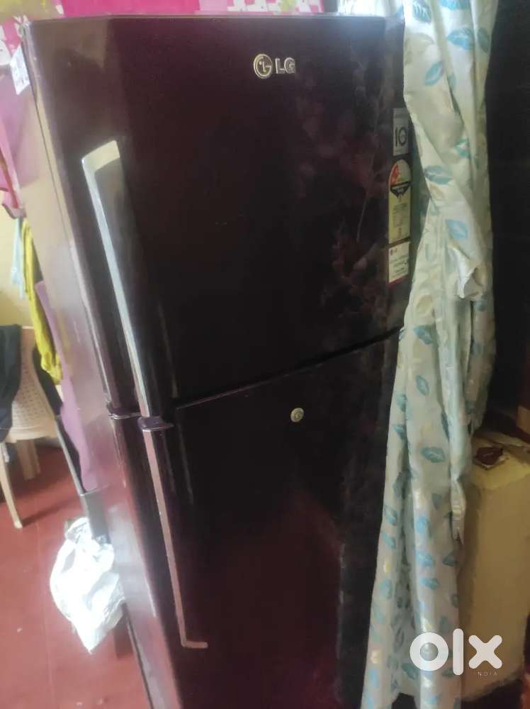 Lg double door fridge