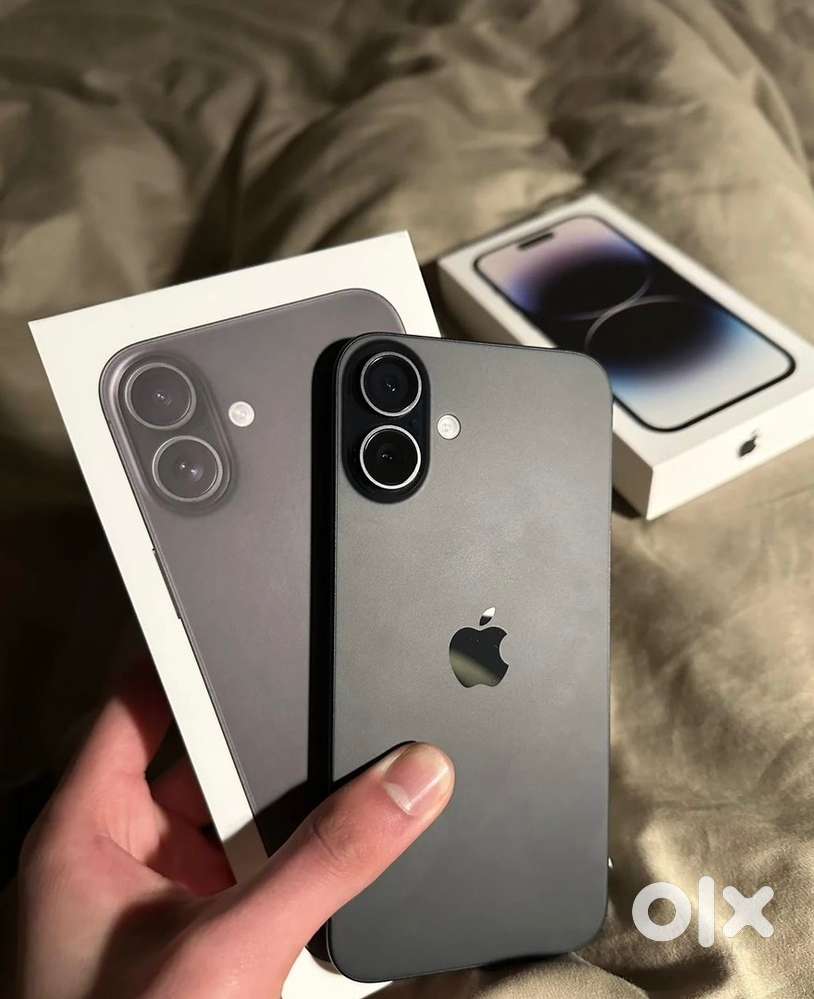 16 Plus - 256 GB