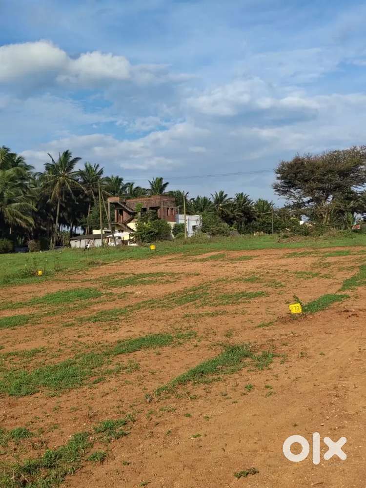 DTCP plot othakkalmandabam @ VIEN VEENAI CBSE SCHOOL PER CENT 3.80