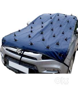 Car cover, protection from dogs, monkeys etc.