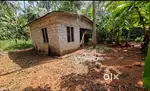 Plot for house