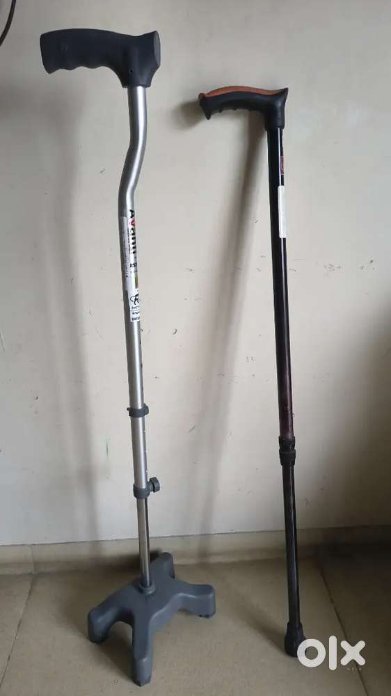 Walking sticks