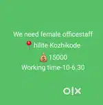 Office staff - hilite calicut