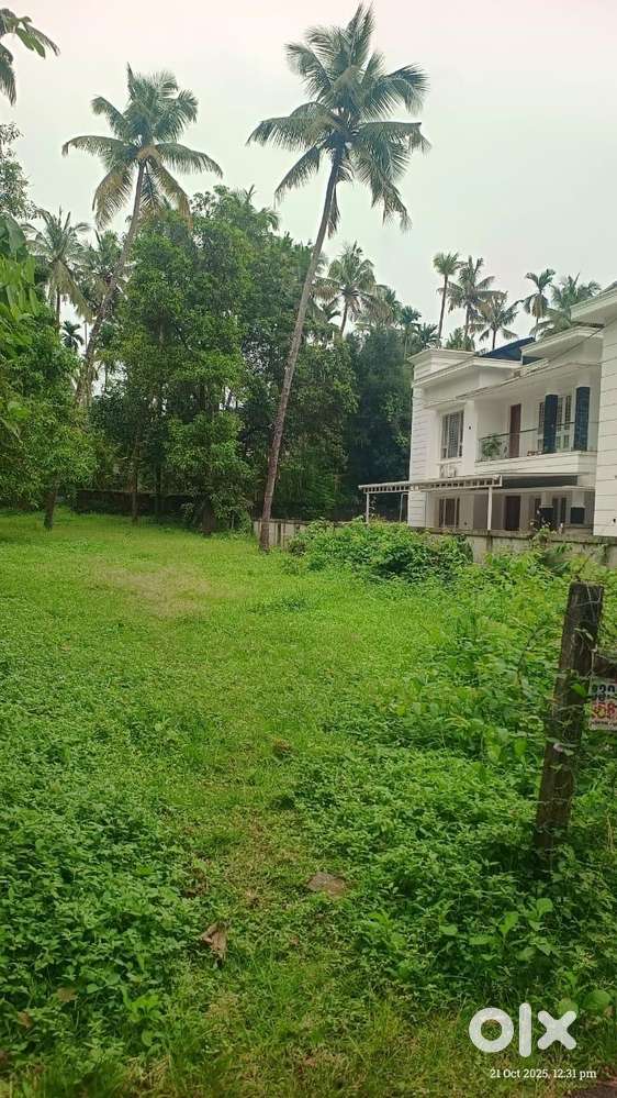 residential/housing plot